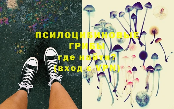 гидропоника Куйбышев